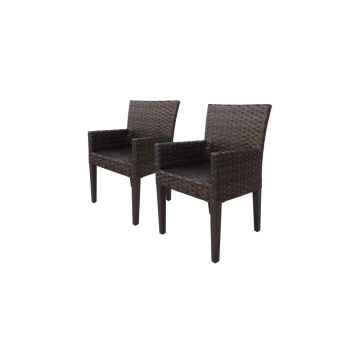 kathy ireland® Homes & Gardens River Brook Set of 2 Dining Armchairs by TK Classics®