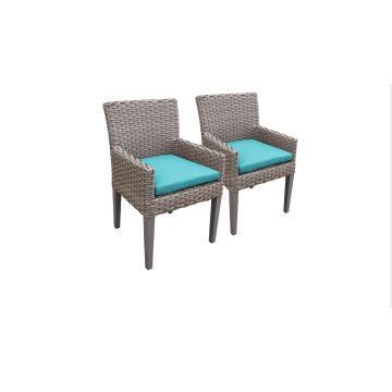 2 Catalina Dining Chairs With Arms